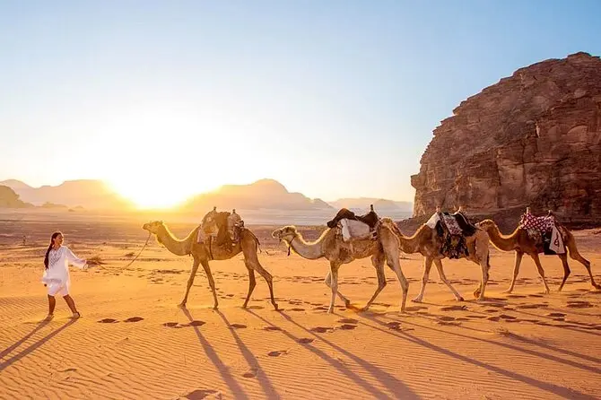 2-day Zagora desert expedition from Marrakech — camel trek and Berber camp