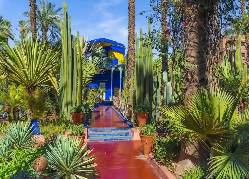 Majorelle Gardens half-day tour in Marrakech Majorelle Gardens half-day tour in Marrakech with cobalt blue villa