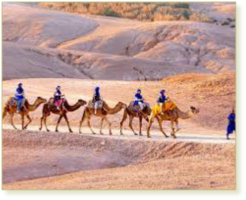 Tour from Ouarzazate